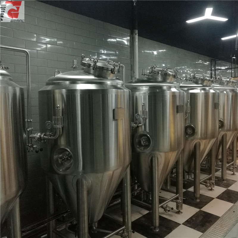 中国300升啤酒厂设备的专业厂家供应商