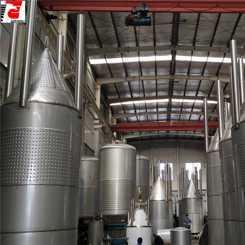 Auto/Manual high quality  fermenter of SUS 304 316 from China W1
