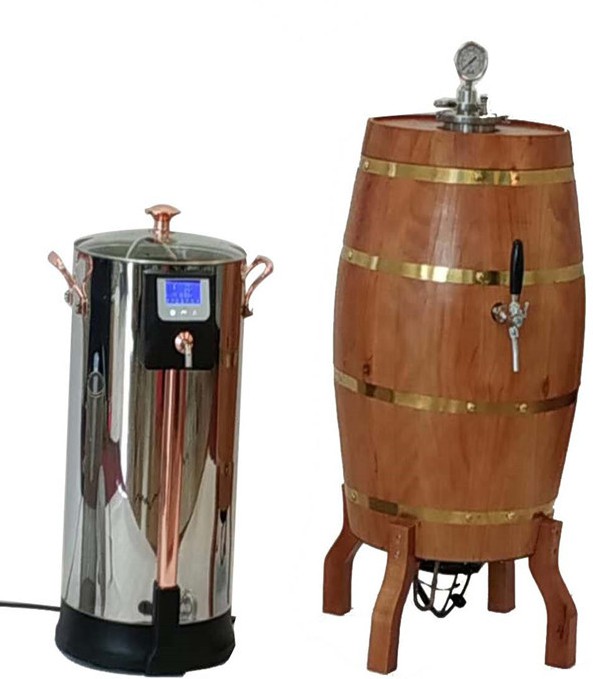 罗马尼亚30L SUS304中国工厂2020 W1专业家用啤manbetx万博赔率高吗酒酿造设备