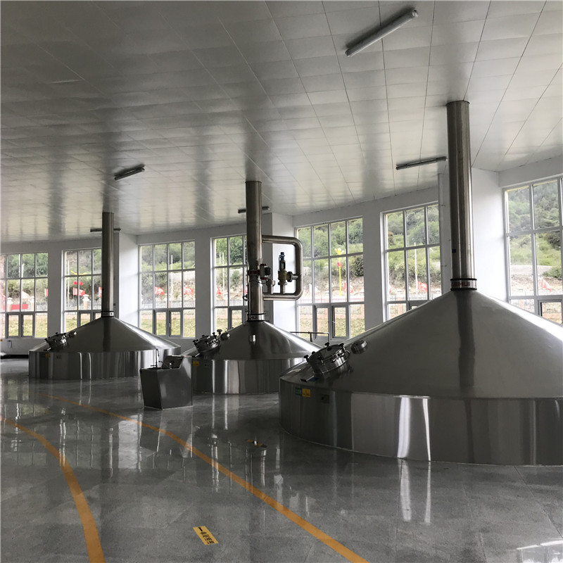 10000L 5容器商业啤酒厂WEMAC G031