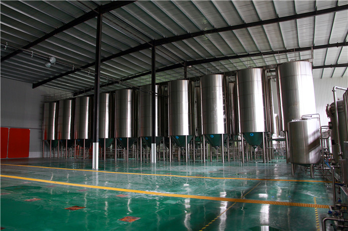 优质啤酒厂微型设备500L