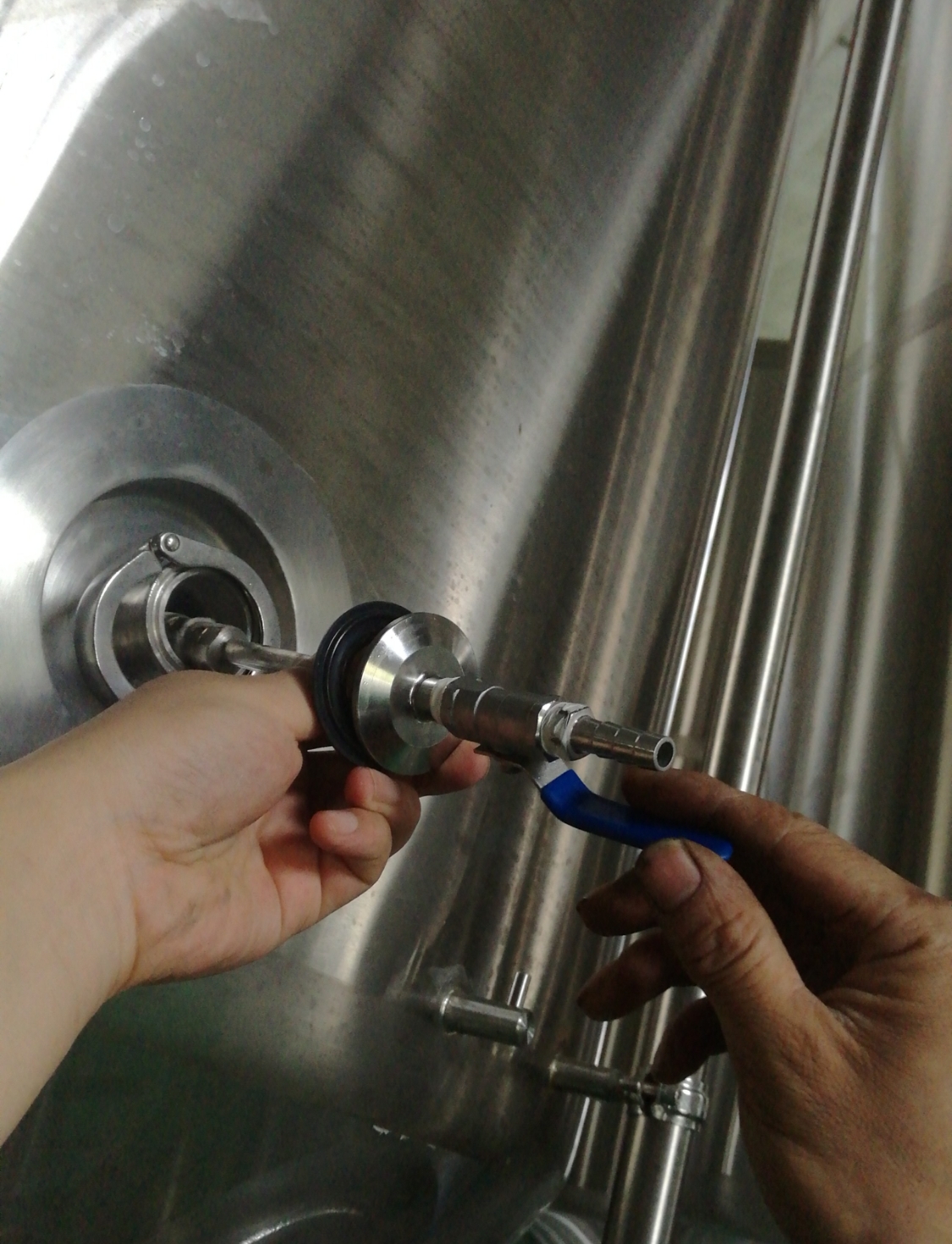 专业的Turnkey Brewpub设备Sus304 316从中国出售W1