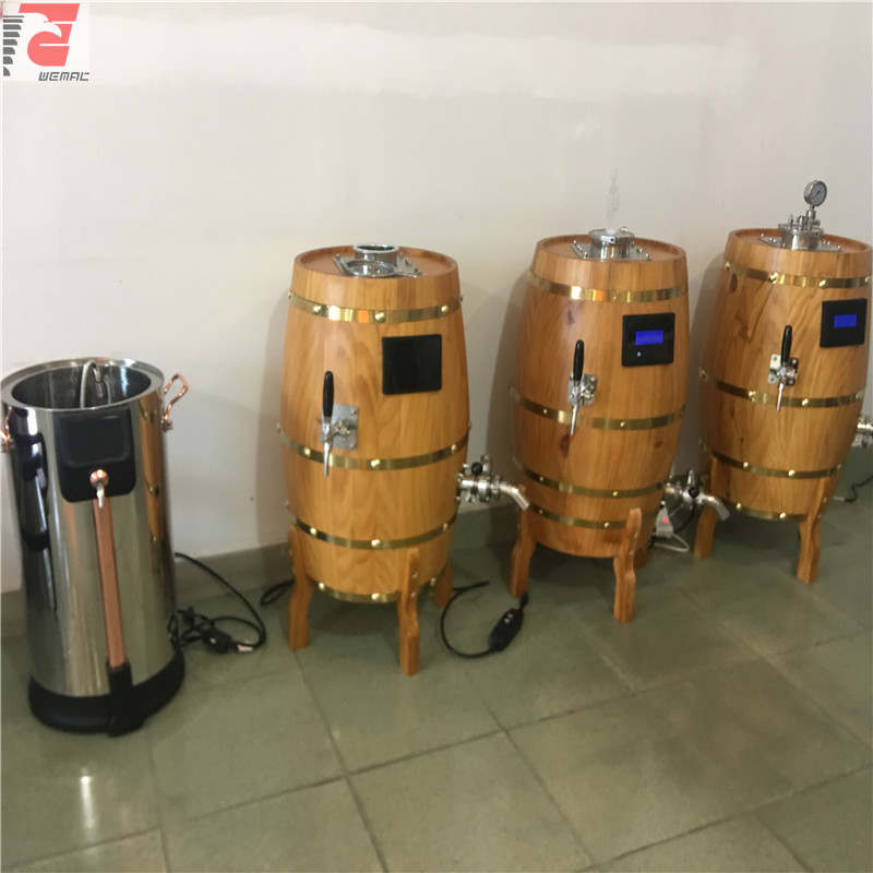 30L-50L从中国W3操作的SUS304 316家自酿啤酒设备的专业容易
