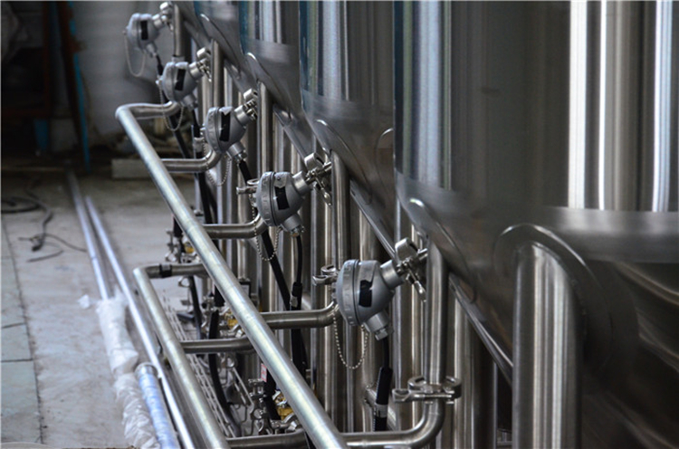 100L啤酒酿造家用Microbrewery